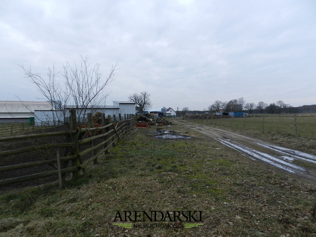 Działka Sprzedaż Ściechów 5