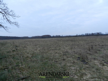 Działka Sprzedaż Ściechów