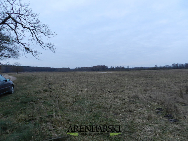 Działka Sprzedaż Ściechów 7