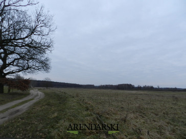 Działka Sprzedaż Ściechów