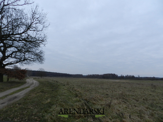 Działka Sprzedaż Ściechów 8
