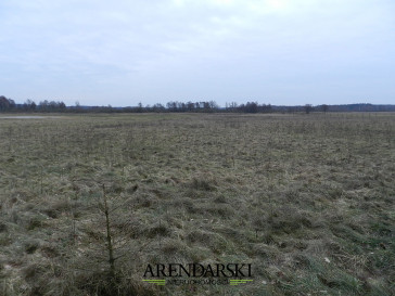 Działka Sprzedaż Ściechów