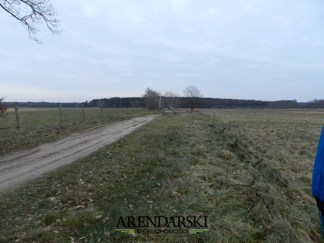 Działka Sprzedaż Ściechów 10