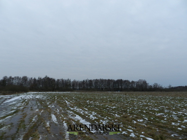 Działka Sprzedaż Ściechów 11