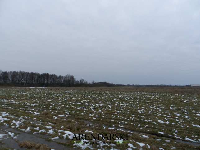 Działka Sprzedaż Ściechów 12