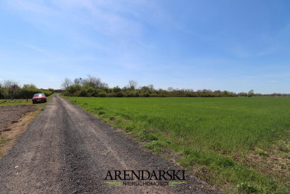 Działka Sprzedaż Maszewo