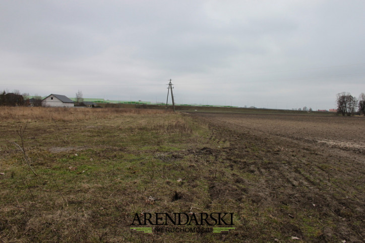 Działka Sprzedaż Gorzów Wielkopolski Zieleniec 3