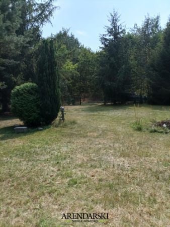 Działka Sprzedaż Parzeńsko 4