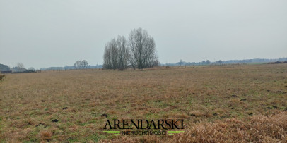 Działka Sprzedaż Łagodzin