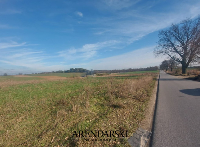 Działka Sprzedaż Santocko 1