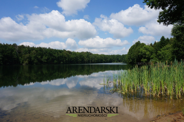 Działka Sprzedaż Parzeńsko 6