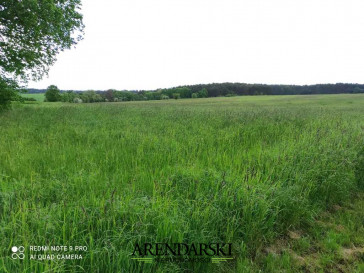 Działka Sprzedaż Świniary