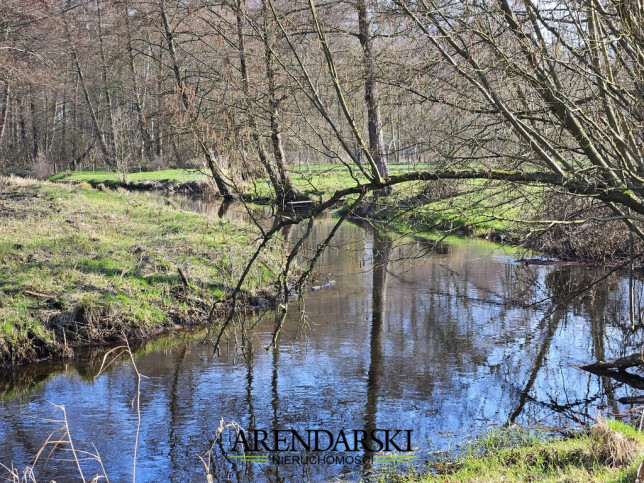 Działka Sprzedaż Górki Noteckie 6