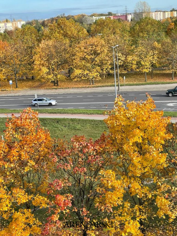 Mieszkanie Sprzedaż Gorzów Wielkopolski Górczyn 12