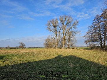 Dom Sprzedaż Gorzów Wielkopolski Karnin