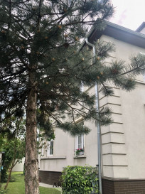 Mieszkanie Sprzedaż Gorzów Wielkopolski os. Piaski
